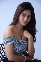 Nabha Natesh New Photos